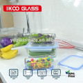 BPA-Free High Borosilicate glass food container/Delivery food container set